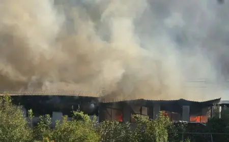 VELIKI POŽAR U SLAVONIJI: VATRA ZAHVATILA POGON, SVE SLUŽBE NA TERENU