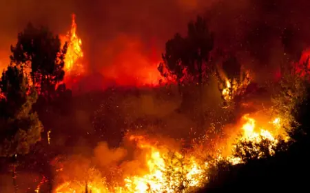 VELIKI POŽAR ZAHVATIO POPULARNO TURISTIČKO ODMARALIŠTE; VATRA GUTA SVE PRED SOBOM