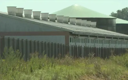 POLICIJA PREPLAVILA ISTOK ZEMLJE: ZAUSTAVLJAJU SE I PREGLEDAVAJU SVA VEĆA VOZILA, OTVARAJU PRLJAŽNICI...