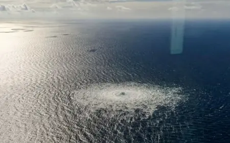 UHIĆEN UKRAJINAC ZBOG SUMNJE DA JE UMIJEŠAN U SABOTAŽU PLINOVODA