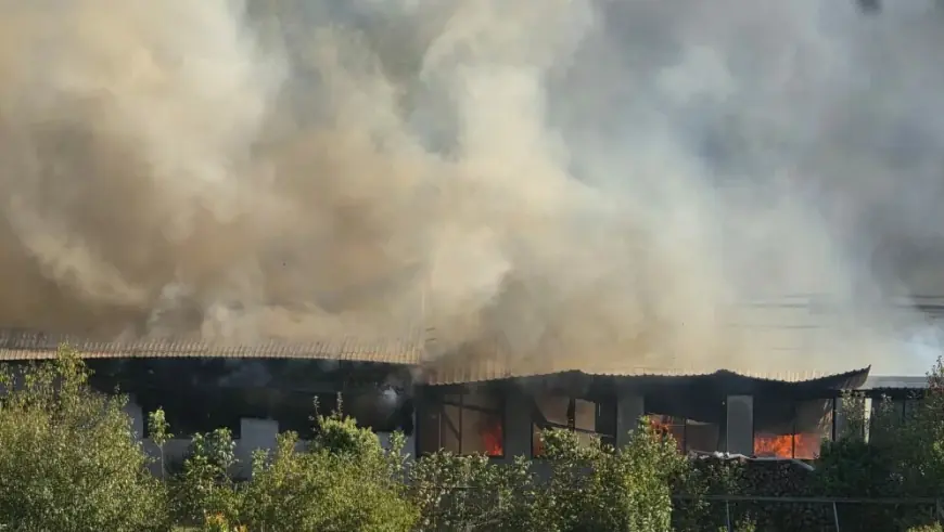 VELIKI POŽAR U SLAVONIJI: VATRA ZAHVATILA POGON, SVE SLUŽBE NA TERENU