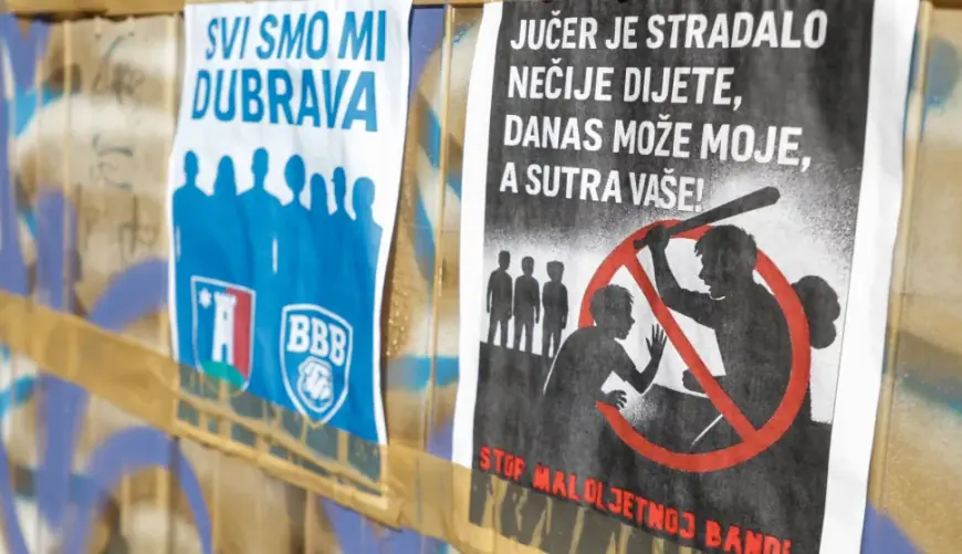 MALOLJETNIČKO NASILJE: OD RANIJE KAZNENE ODGOVORNOSTI DO SVEOBUHVATNOG PRISTUPA