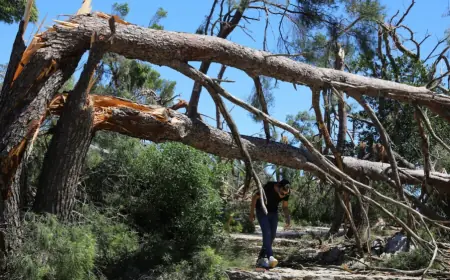 BURA LOMI GRANE I STABLA, ZATVOREN DIO POZNATE PARK-ŠUME: "BIRAJTE SIGURNIJE PODRUČJE"