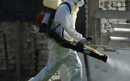 NOVI SLUČAJEVI AFRIČKE SVINJSKE KUGE