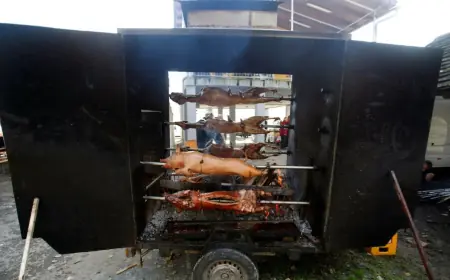 INSPEKTORI ODUZIMALI MESO NA PEČENKIJADI U SLAVONSKOM BRODU. "VETERANI NISU DALI SVOJU SVINJU"