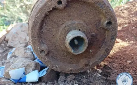 UKLONJENA BOMBA IZ DRUGOG SVJETSKOG RATA U PULI. BRITANSKA JE I TEŠKA 223 KILOGRAMA