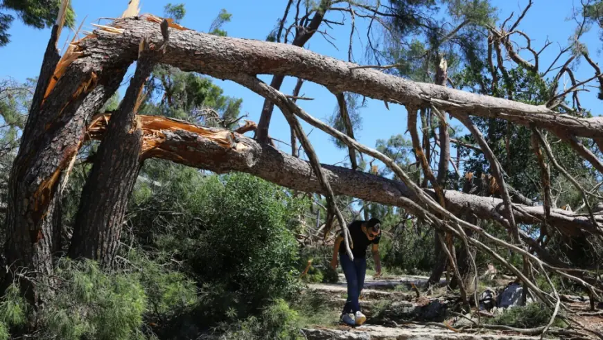 BURA LOMI GRANE I STABLA, ZATVOREN DIO POZNATE PARK-ŠUME: "BIRAJTE SIGURNIJE PODRUČJE"