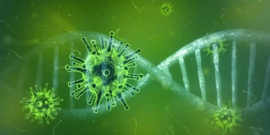 OPASAN VIRUS ZABILJEŽEN U NEKOLIKO ZEMALJA, ŠIRI SE NEUOBIČAJENIM PUTEM