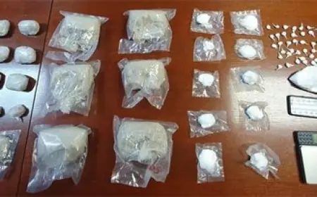 USKOK POKRENUO ISTRAGU PROTIV PETORICE DILERA KOKAINA