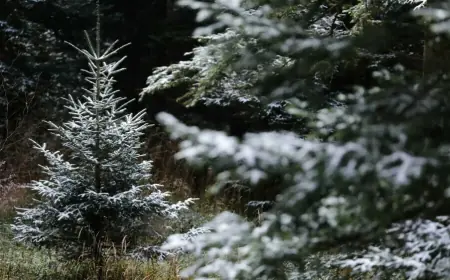 HRVATSKA NA UDARU NAGLE PROMJENE VREMENA, EVO KAD STIŽE I SNIJEG
