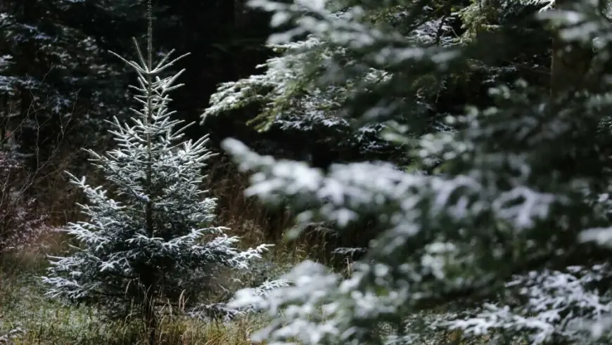 HRVATSKA NA UDARU NAGLE PROMJENE VREMENA, EVO KAD STIŽE I SNIJEG