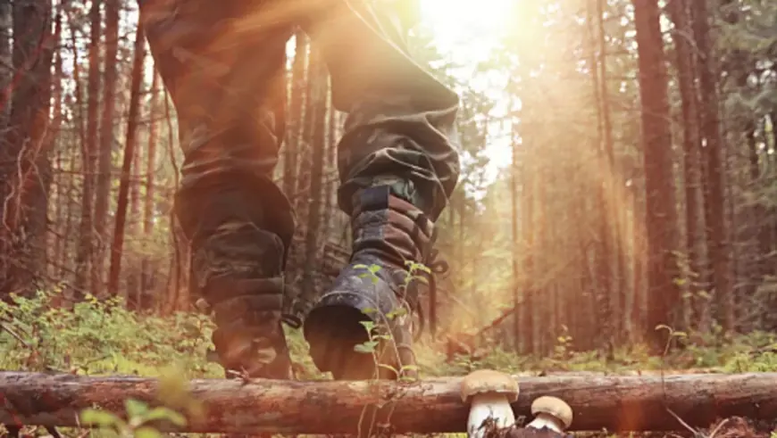 JEZIVO OTKRIĆE: LOVCI PRONAŠLI OBEZGLAVLJENO TIJELO U KANALU