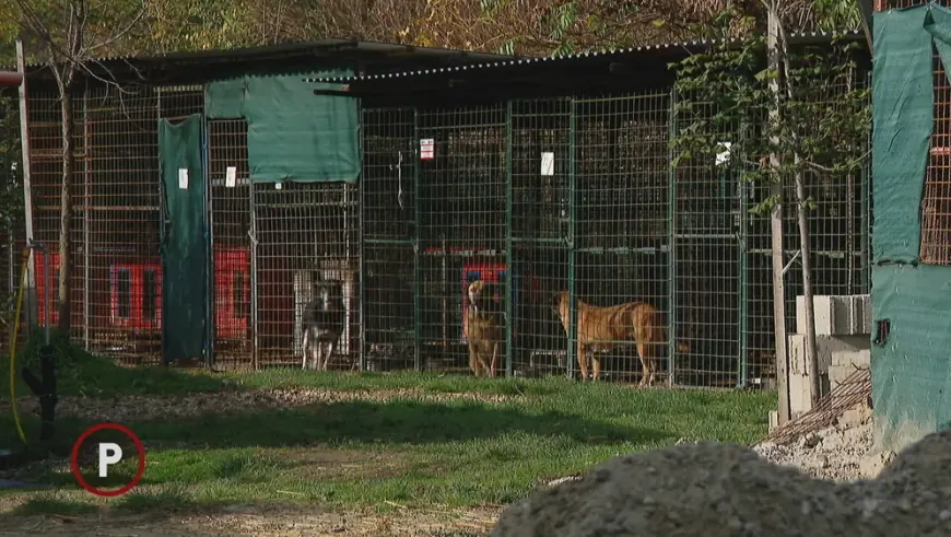 UŽAS NA SJEVERU HRVATSKE: "NOGE SU MU BILE OGLOĐENE DO KOSTIJU S OGROMNIM RANAMA, ŽELUDAC PUN KAMENJA"