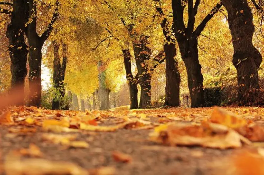 VIKEND ĆE BITI SUNČAN I BEZ OBORINA, ALI S ULASKOM U PROSINAC SVE SE MIJENJA