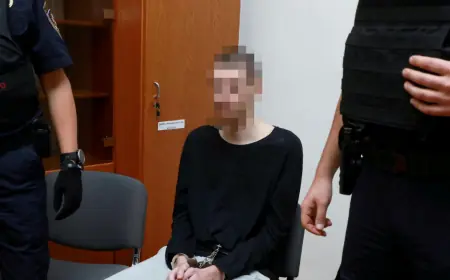 UBOJICI IZ PREČKOG 50 GODINA ZATVORA