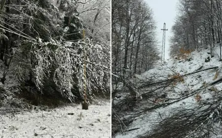 "SVE IZ FRIŽIDERA SE KVARI, ŠKRINJE SMRDE I SMRZAVAMO SE": I ČETVRT DAN LJUDI NEMAJU STRUJU