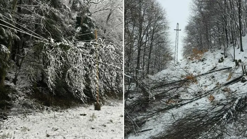 "SVE IZ FRIŽIDERA SE KVARI, ŠKRINJE SMRDE I SMRZAVAMO SE": I ČETVRT DAN LJUDI NEMAJU STRUJU