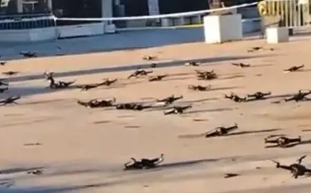 KAOS S DRONOVIMA U BUDVI. HRVATSKI IZVOĐAČI: NETKO NAM IH JE NAMJERNO OBORIO