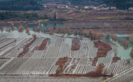U VRGORCU POPLAVLJENO POLA MILIJUNA ČOKOTA VINOVE LOZE, ČEKA SE PROJEKT ODVODNJE