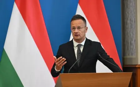 MAĐARSKA SE SLUŽBENO OČITOVALA OKO OTKUPA VEĆINSKOG RUSKOG UDJELA U NIS-u