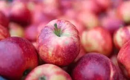 NALAZI LI SE U HRVATSKIM JABUKAMA "KOKTEL PESTICIDA I NEUROTOKSINA"? OGLASIO SE HVZ