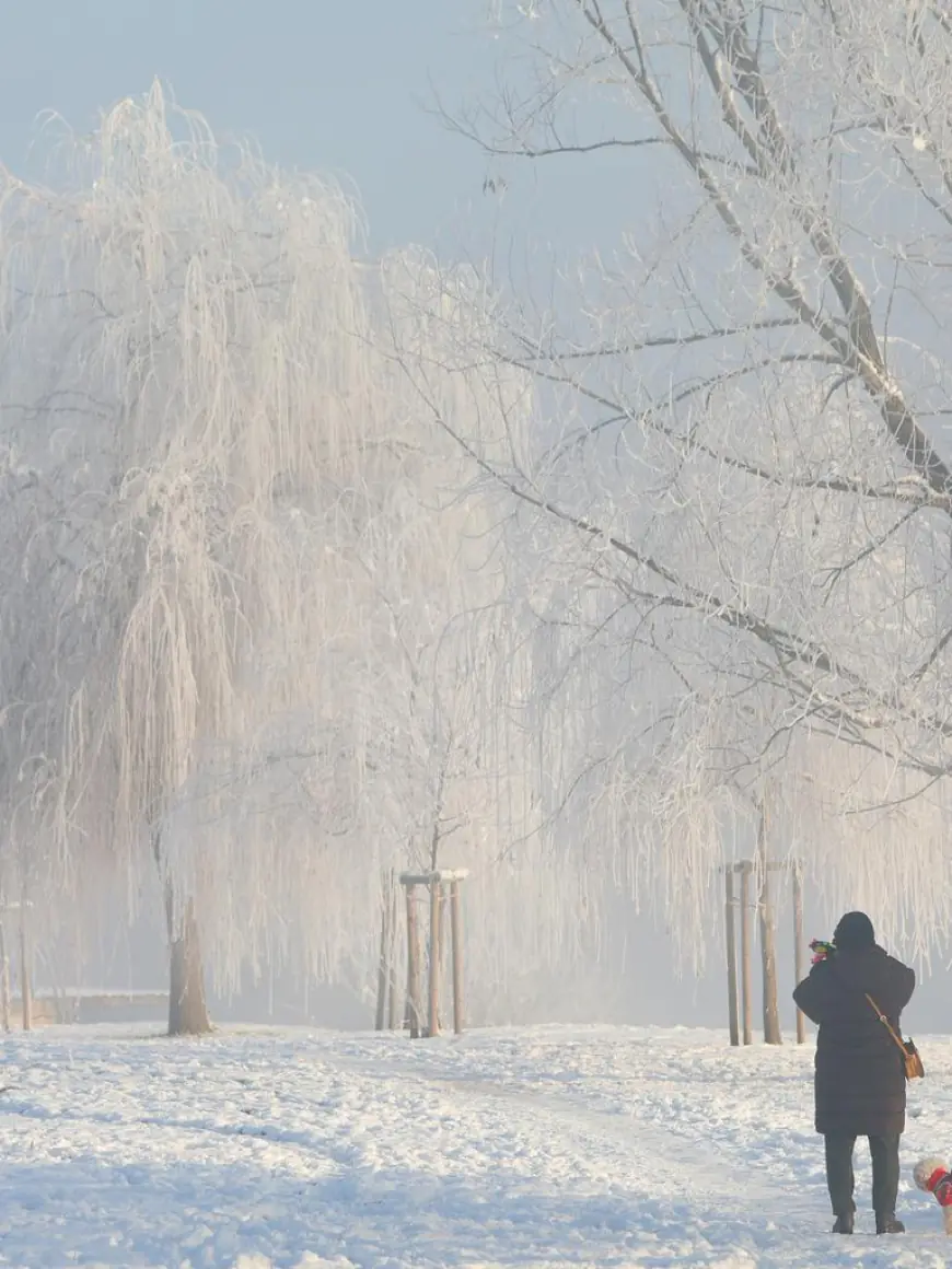 TEMPERATURE PADAJU I DO -15, A SAMO U ZAGREBU JE VIŠE OD 2000 BESKUĆNIKA
