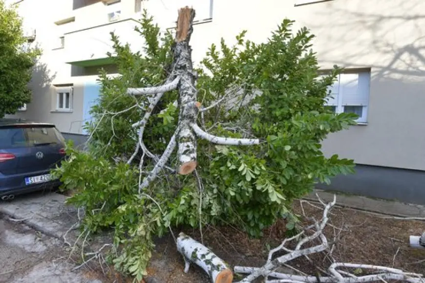 ODGOĐEN POVRATAK U KLUPE KNINSKIH ŠKOLARACA