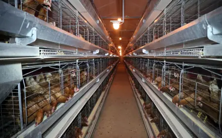 PROTIV VELIKIH PERADARSKIH FARMI U SISKU I BISKUPIJA: TO SE NE SMIJE GURATI BEZ JAVNE RASPRAVE