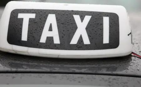 SVINJARIJA USRED ZAGREBA: BELGIJSKOG NOVINARA TAKSIST ODERAO DO KOŽE