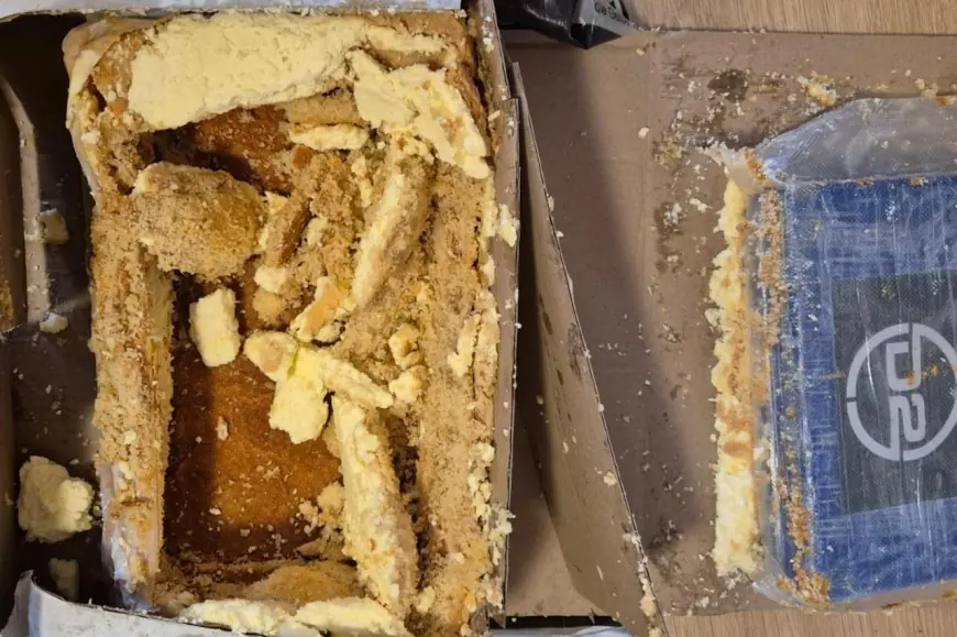 ČEŠKA POLICIJA RAZOTKRILA BANDU KOJA JE KRIJUMČARILA KOAKIN - U TORTAMA