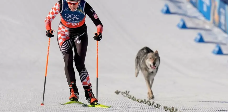NEPONOVLJIVA SCENA NA ZOI-ju: HRVATSKU OLIMPIJKU U FINIŠU UTRKE GANJAO ODBJEGLI PAS