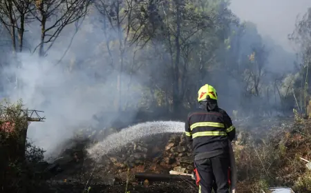 PLANUO POŽAR U DALMACIJI: GORE ŠUME I RASLINJE, NA TERENU DESECI VATROGASACA