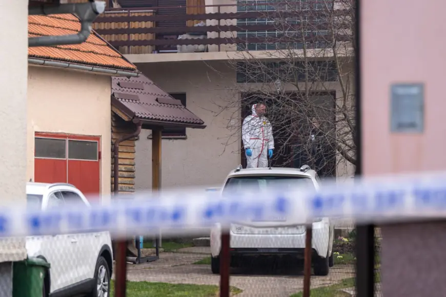 OSUMNJIČENI ZA UBOJSTVO MAJKE I BAKE U GOSPIĆU, NAPAO ČETIRI INTERVENTNA POLICAJCA TIJEKOM TRANSPORTA