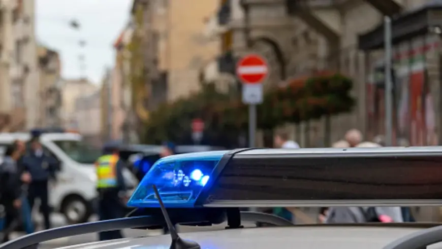 POLICIJA OTKRILA ŠTO SE DOGODILO SA SEDMERO NESTALE DJECE U MAĐARSKOJ