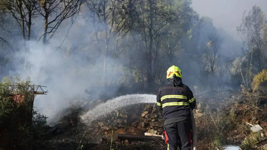PLANUO POŽAR U DALMACIJI: GORE ŠUME I RASLINJE, NA TERENU DESECI VATROGASACA