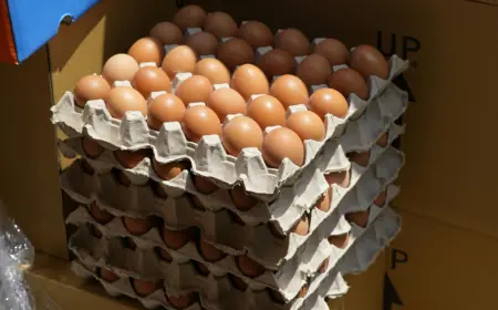 OPREZ, KUPCI! NA FARMI PRONAĐENA SALMONELA, POVLAČE SE JAJA DOMAĆEG PROIZVOĐAČA