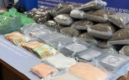 REKORDNA ZAPLJENA DROGE U DALMACIJI, POGLEDAJTE ŠTO JE SVE POLICIJA PRONAŠLA