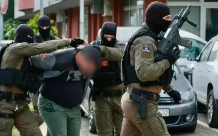 PAO JEDAN OD VODEĆIH ČLANOVA BALKANSKOG KARTELA U MEĐUNARODNOJ AKCIJI