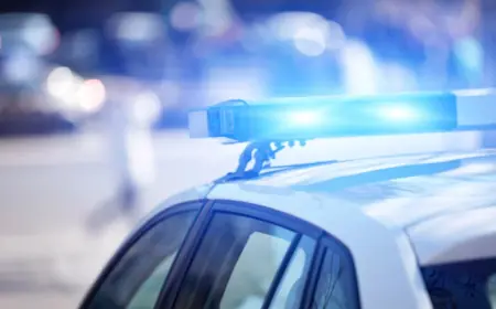 UPUCAN PRED ŽENOM I DJETETOM: PRIPADNIK SRPSKOG KRIMINALNOG MILJEA LIKVIDIRAN DOK JE RUČAO