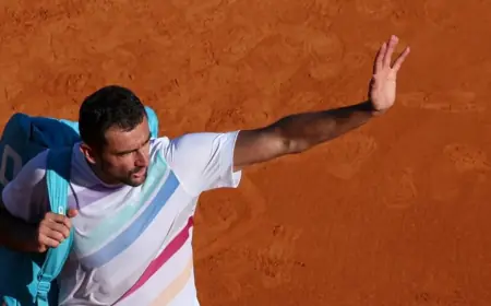 MARIN ČILIĆ SE OTROVAO HRANOM U ŠPANJOLSKOJ, MORAO JE PREDATI MEČ!