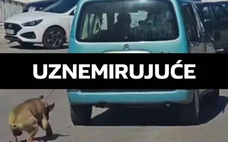 UZNEMIRUJUĆE ŠOKANTNA SNIMKA IZ DALMACIJE. VLASNIK AUTOM VUKAO PSA NA LANCU, UHIĆEN JE
