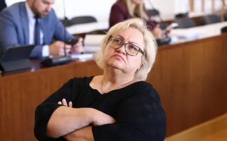 SVJEDOČILA MAJKA DEJANA LOVRENA: "NOVAC JE POSUDIO ZORANU MAMIĆU..."