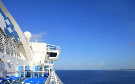 KAOS NA JOŠ JEDNOM LUKSUZNOM KRUZERU: VIŠE OD 100 PUTNIKA I ČLANOVE POSADE POKOSIO OPASNI VIRUS