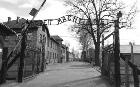 ŠVICARSKA OTVARA TAJNE DOKUMENTE O MENGELEU, 'ANĐELU SMRTI' IZ AUSCHWITZA