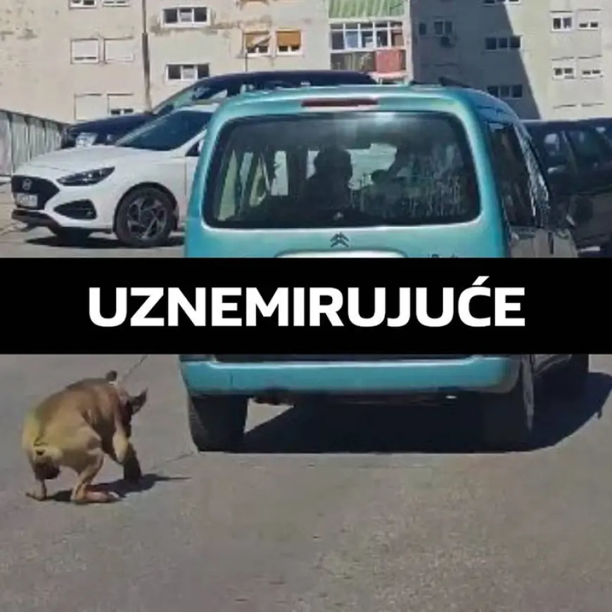 UZNEMIRUJUĆE ŠOKANTNA SNIMKA IZ DALMACIJE. VLASNIK AUTOM VUKAO PSA NA LANCU, UHIĆEN JE