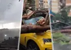 SNAŽAN TORNADO POGODIO RIM: VJETAR ČUPAO STABLA, KROVOVE...