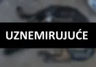 UŽAS U BALAMA: VATROGASAC MUČIO I IZGLADNJIVAO SVOJA DVA PSA DO SMRTI
