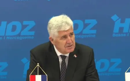 NEVOLJE ZA PREDSJEDNIKA HDZ-a BiH: PODNESENA PRIJAVA ZA PROVJERU MAGISTARSKE DIPLOME DRAGANA ČOVIĆA