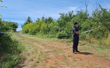 PILOT OPISAO KAKO JE PAO AVION: "NAPRAVIO JE SPIRALU I ZABIO SE U ZEMLJU"