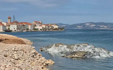 "IZRONILO JE ČUDOVIŠTE, HOĆETE LI I DALJE TAMO DOVODITI DJECU?": OTROVNO OTKRIĆE NA JADRANSKOJ PLAŽI
